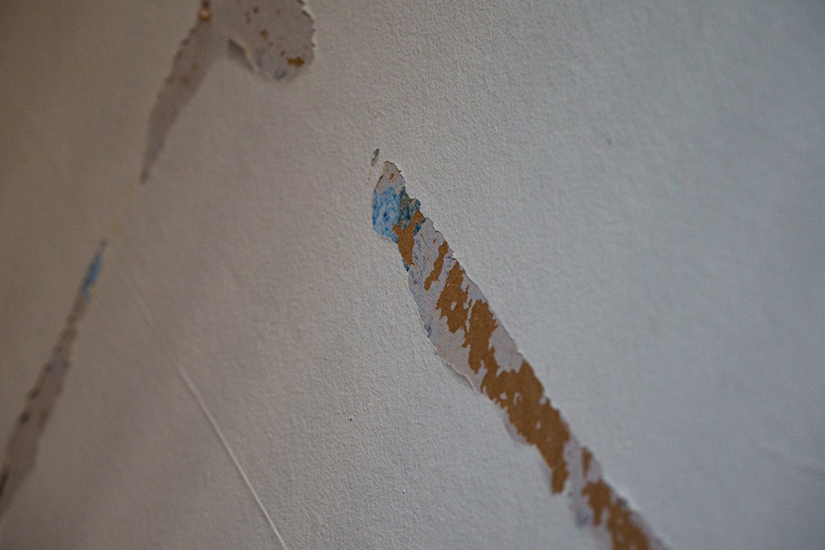 Basement Water Removal service in Highlands Ranch, CO